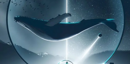 琼海BIG SHARK大鲨鱼酒吧消费 嘉积镇